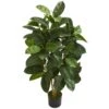 Indoor 4 Ft. Oak Ficus Artificial Tree 2 Indoor 4 Ft. Oak Ficus Artificial Tree -Artificial nearly natural artificial trees 5574 64 1000