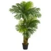 Indoor 6ft. Hawaii Artificial Palm 2 Indoor 6ft. Hawaii Artificial Palm -Artificial nearly natural artificial trees 5590 64 1000