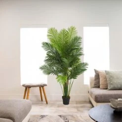Indoor 6 Ft. Hawaii Palm Artificial Tree 17 Indoor 6 Ft. Hawaii Palm Artificial Tree -Artificial nearly natural artificial trees 5592 31 1000