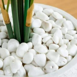 Indoor 4 Ft. Areca Artificial Palm Tree In White Planter 11 Indoor 4 Ft. Areca Artificial Palm Tree In White Planter -Artificial nearly natural artificial trees 5637 1f 1000