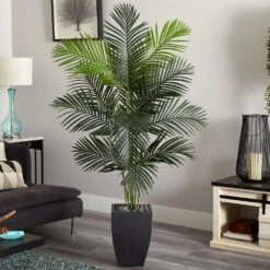 Indoor 5.5 Ft. Paradise Artificial Palm Tree In Black Planter 7 Indoor 5.5 Ft. Paradise Artificial Palm Tree In Black Planter -Artificial nearly natural artificial trees 5640 31 1000