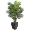 Indoor 5.5 Ft. Paradise Artificial Palm Tree In Black Planter 1 Indoor 5.5 Ft. Paradise Artificial Palm Tree In Black Planter -Artificial nearly natural artificial trees 5640 64 1000