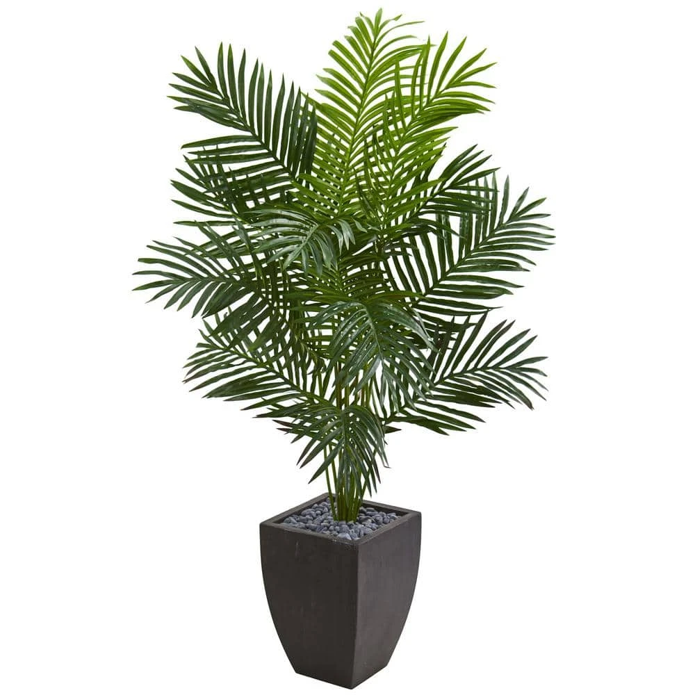 Indoor 5.5 Ft. Paradise Artificial Palm Tree In Black Planter 3 Indoor 5.5 Ft. Paradise Artificial Palm Tree In Black Planter