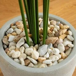 Indoor 5.5 Ft. Paradise Artificial Palm Tree In Sand Colored Planter -Artificial nearly natural artificial trees 5641 4f 1000