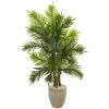 Indoor 5 Ft. Areca Palm Artificial Tree In Sand Colored Planter Real Touch 2 Indoor 5 Ft. Areca Palm Artificial Tree In Sand Colored Planter Real Touch -Artificial nearly natural artificial trees 5650 64 1000