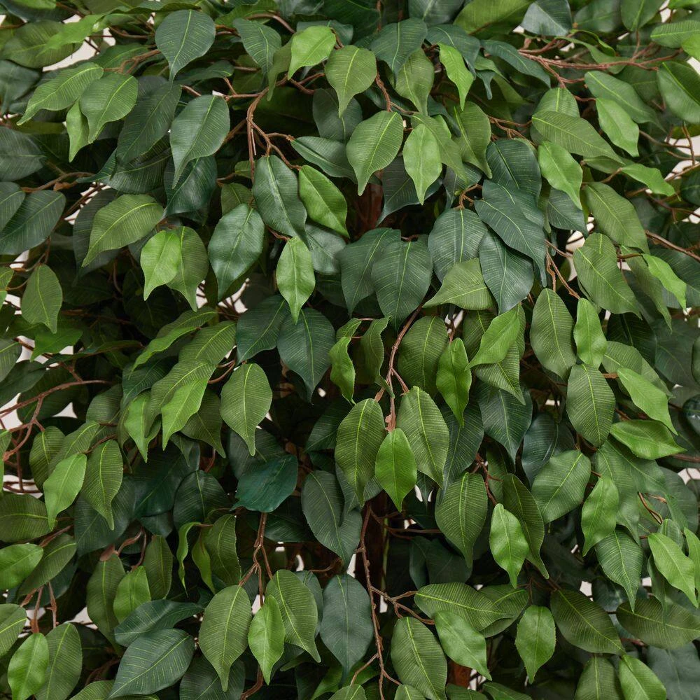 Indoor 6 Ft. Ficus Artificial Tree In Decorative Planter 5 Indoor 6 Ft. Ficus Artificial Tree In Decorative Planter - Image 3