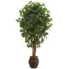 Indoor 6 Ft. Ficus Artificial Tree In Decorative Planter 2 Indoor 6 Ft. Ficus Artificial Tree In Decorative Planter -Artificial nearly natural artificial trees 5665 64 1000