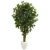 Indoor 6 Ft. Ficus Artificial Tree In White Planter 1 Indoor 6 Ft. Ficus Artificial Tree In White Planter -Artificial nearly natural artificial trees 5666 64 1000