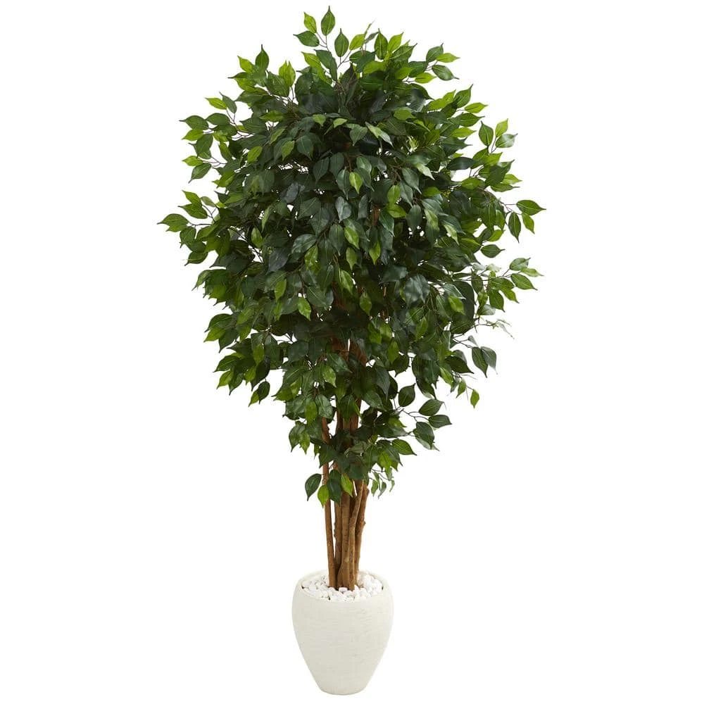 Indoor 6 Ft. Ficus Artificial Tree In White Planter 3 Indoor 6 Ft. Ficus Artificial Tree In White Planter