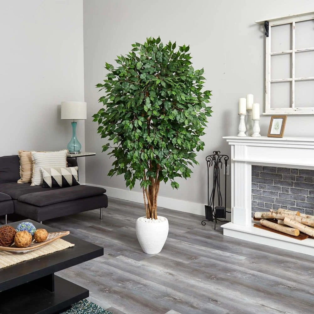 Indoor 6 Ft. Ficus Artificial Tree In White Planter 4 Indoor 6 Ft. Ficus Artificial Tree In White Planter - Image 2