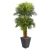 Indoor 5.5 Ft. Triple Areca Palm Artificial Tree In Slate Finish Planter -Artificial nearly natural artificial trees 5667 64 1000
