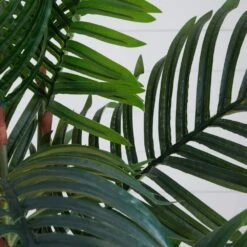 Indoor 5.5 Ft. Paradise Palm Artificial Tree In Square Planter 8 Indoor 5.5 Ft. Paradise Palm Artificial Tree In Square Planter -Artificial nearly natural artificial trees 5670 4f 1000