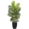 Indoor 5.5 Ft. Paradise Palm Artificial Tree In Square Planter 1 Indoor 5.5 Ft. Paradise Palm Artificial Tree In Square Planter -Artificial nearly natural artificial trees 5670 64 1000