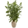 Indoor 5 Ft. Fishtail Palm Artificial Tree In Sand Colored Planter 1 Indoor 5 Ft. Fishtail Palm Artificial Tree In Sand Colored Planter -Artificial nearly natural artificial trees 5675 64 1000
