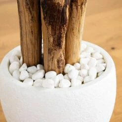 Indoor 5.5 Ft. Triple Areca Palm Artificial Tree In White Planter 11 Indoor 5.5 Ft. Triple Areca Palm Artificial Tree In White Planter -Artificial nearly natural artificial trees 5683 1f 1000