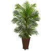 Indoor 5 Ft. Kentia Palm Artificial Tree In Decorative Planter 1 Indoor 5 Ft. Kentia Palm Artificial Tree In Decorative Planter -Artificial nearly natural artificial trees 5687 64 1000