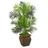 Indoor 3 Ft. Paradise Palm Artificial Tree In Decorative Planter 2 Indoor 3 Ft. Paradise Palm Artificial Tree In Decorative Planter -Artificial nearly natural artificial trees 5689 64 1000
