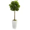 4 In. Fiddle Leaf Artificial Tree In White Tower Planter 1 4 In. Fiddle Leaf Artificial Tree In White Tower Planter -Artificial nearly natural artificial trees 5873 64 1000