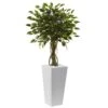 52 In. Artificial Ficus Tree With White Planter UV Resistant (Indoor/Outdoor) 1 52 In. Artificial Ficus Tree With White Planter UV Resistant (Indoor/Outdoor) -Artificial nearly natural artificial trees 5952 64 1000