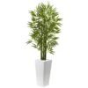 Artificial Bamboo Tree With White Planter UV Resistant (Indoor/Outdoor) 2 Artificial Bamboo Tree With White Planter UV Resistant (Indoor/Outdoor) -Artificial nearly natural artificial trees 5953 64 1000