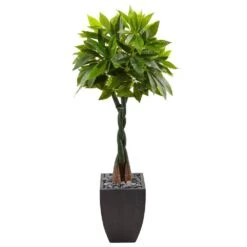 Indoor Money Artificial Tree In Black Square Planter