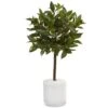 Indoor Sweet Bay Artificial Tree In White Glossy Cylinder 1 Indoor Sweet Bay Artificial Tree In White Glossy Cylinder -Artificial nearly natural artificial trees 5980 64 1000