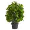 Indoor 2 Ft. Ficus Artificial Tree 2 Indoor 2 Ft. Ficus Artificial Tree -Artificial nearly natural artificial trees 6411 64 1000