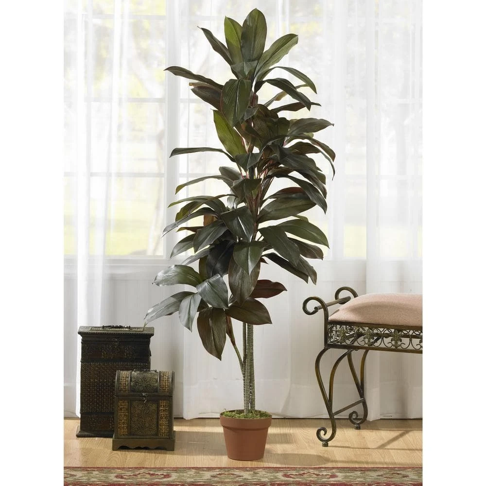 Indoor 5 Ft. Artificial Cordyline "Real Touch" Silk Plant 4 Indoor 5 Ft. Artificial Cordyline "Real Touch" Silk Plant - Image 2