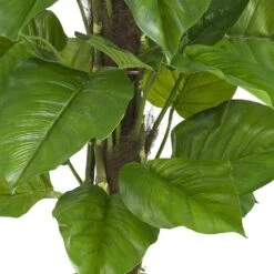 Real Touch 52 In. Artificial H Green Large Leaf Philodendron Silk Plant 8 Real Touch 52 In. Artificial H Green Large Leaf Philodendron Silk Plant -Artificial nearly natural artificial trees 6583 4f 1000