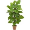 Real Touch 52 In. Artificial H Green Large Leaf Philodendron Silk Plant 2 Real Touch 52 In. Artificial H Green Large Leaf Philodendron Silk Plant -Artificial nearly natural artificial trees 6583 64 1000