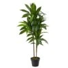 Real Touch 48 In. Artificial H Green Dracaena Silk Plant 2 Real Touch 48 In. Artificial H Green Dracaena Silk Plant -Artificial nearly natural artificial trees 6585 64 1000