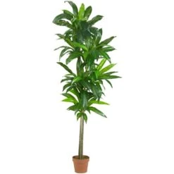 Real Touch 6 Ft. Artificial Dracaena Silk Plant