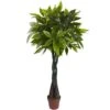 4 Ft. Artificial Money Plant (Real Touch) -Artificial nearly natural artificial trees 6812 64 1000