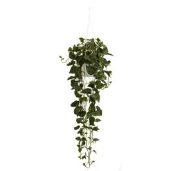 44 In. Artificial H Green Philodendron Hanging Basket Silk Plant 9 44 In. Artificial H Green Philodendron Hanging Basket Silk Plant -Artificial nearly natural artificial tropical plants 4762 31 1000