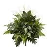 Indoor 27 In. Mixed Spathiphyllum Artificial Plant (2-Set) 2 Indoor 27 In. Mixed Spathiphyllum Artificial Plant (2-Set) -Artificial nearly natural artificial tropical plants 6073 s2 64 1000