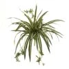 23 In. Artificial Spider Plant Bush (Set Of 4) 2 23 In. Artificial Spider Plant Bush (Set Of 4) -Artificial nearly natural artificial tropical plants 6118 s4 64 1000