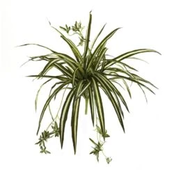 23 In. Artificial Spider Plant Bush (Set Of 4)