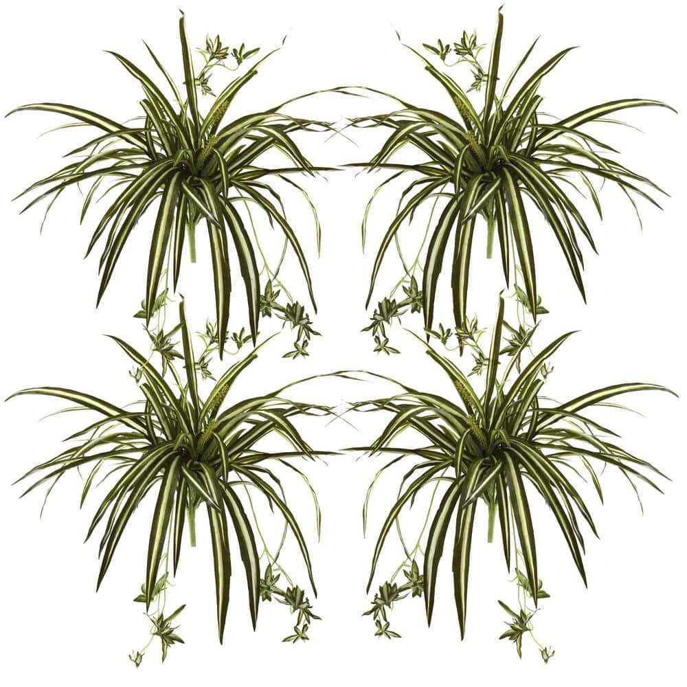 23 In. Artificial Spider Plant Bush (Set Of 4) 4 23 In. Artificial Spider Plant Bush (Set Of 4) - Image 2
