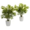 Palms Artificial Plant In White Planter (Set Of 2) 2 Palms Artificial Plant In White Planter (Set Of 2) -Artificial nearly natural artificial tropical plants 6377 s2 64 1000