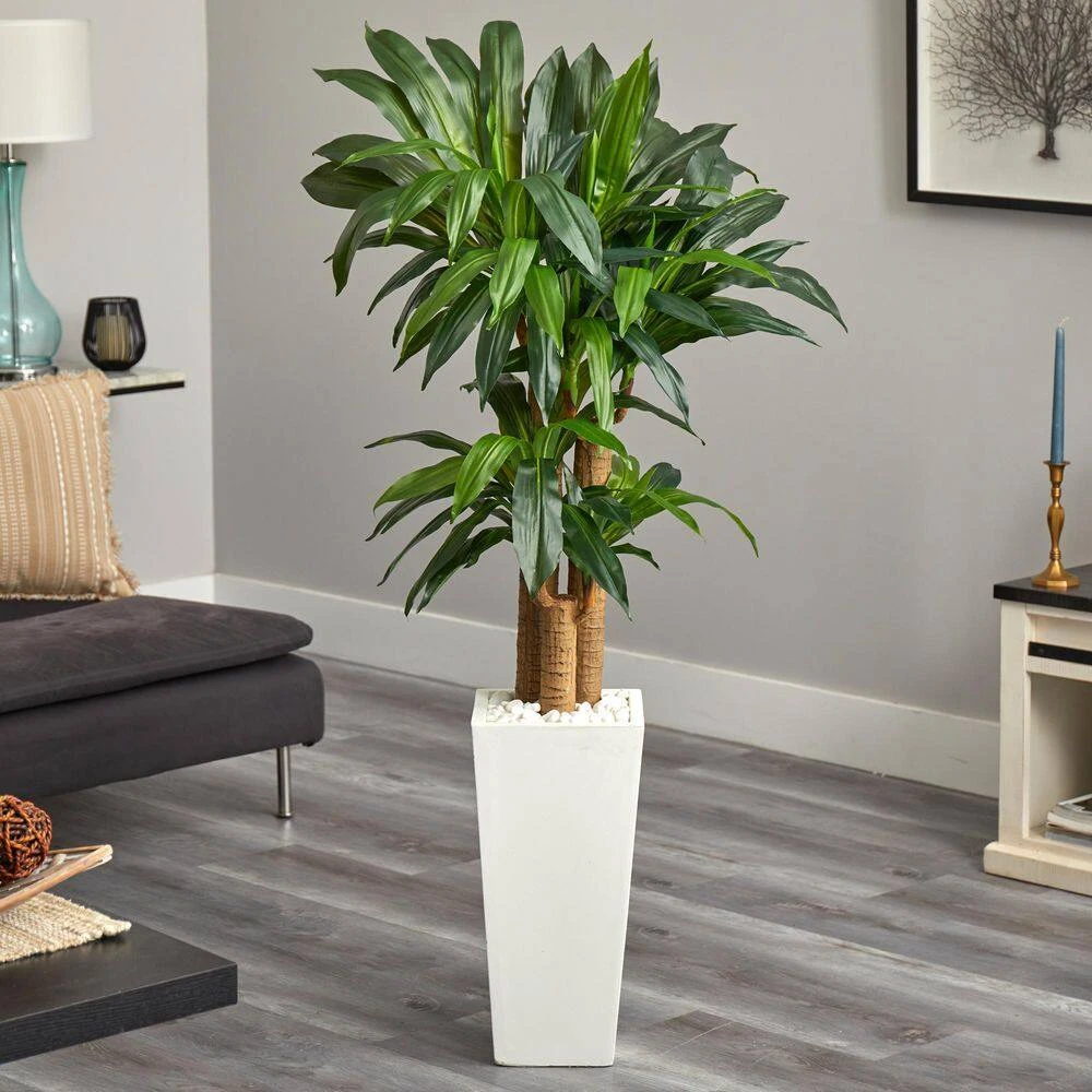5 Ft. Cornstalk Dracaena Artificial Plant In White Tower Planter 5 5 Ft. Cornstalk Dracaena Artificial Plant In White Tower Planter - Image 3