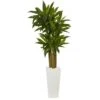 5 Ft. Cornstalk Dracaena Artificial Plant In White Tower Planter 2 5 Ft. Cornstalk Dracaena Artificial Plant In White Tower Planter -Artificial nearly natural artificial tropical plants 6391 64 1000