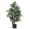 3 Ft. Artificial Zebra Silk Plant 2 3 Ft. Artificial Zebra Silk Plant -Artificial nearly natural artificial tropical plants 6542 64 1000