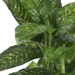 Real Touch 5 Ft. Artificial Green Dieffenbachia Silk Potted Plant 10 Real Touch 5 Ft. Artificial Green Dieffenbachia Silk Potted Plant -Artificial nearly natural artificial tropical plants 6573 4f 1000