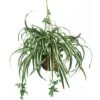 27 In. Artificial Silk Spider Plant Hanging Basket 2 27 In. Artificial Silk Spider Plant Hanging Basket -Artificial nearly natural artificial tropical plants 6607 64 1000