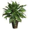31 In. Artificial Silver King With Basket Silk Plant -Artificial nearly natural artificial tropical plants 6615 64 1000
