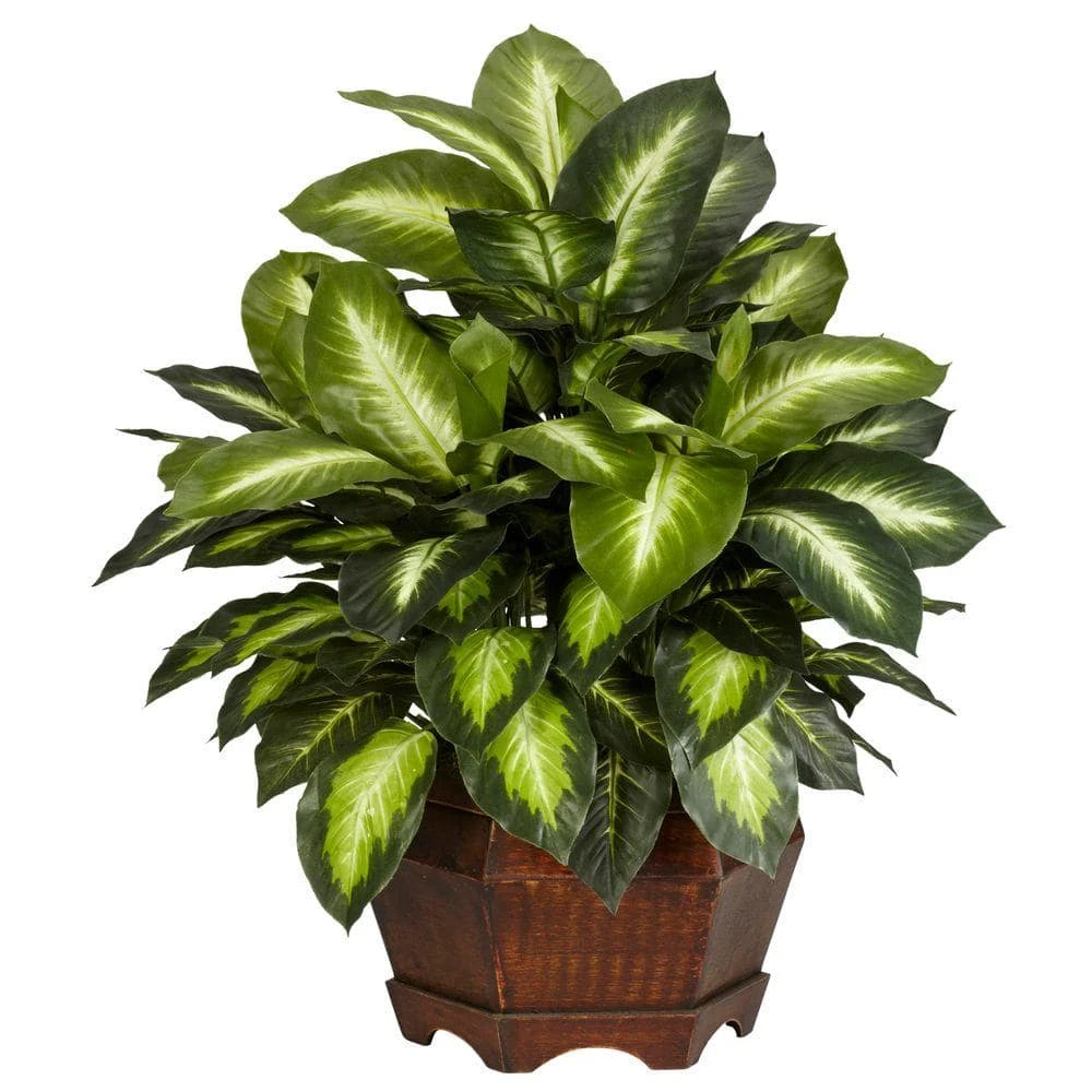 24 In. Artificial H Green Golden Dieffenbachia Silk Plant 3 24 In. Artificial H Green Golden Dieffenbachia Silk Plant