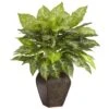 23 In. Artificial H Green Dieffenbachia With Decorative Vase Silk Plant 2 23 In. Artificial H Green Dieffenbachia With Decorative Vase Silk Plant -Artificial nearly natural artificial tropical plants 6676 64 1000