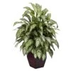 38 In. Artificial H Green Silver Queen With Decorative Planter Silk Plant 2 38 In. Artificial H Green Silver Queen With Decorative Planter Silk Plant -Artificial nearly natural artificial tropical plants 6693 64 1000
