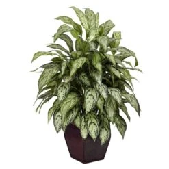 38 In. Artificial H Green Silver Queen With Decorative Planter Silk Plant