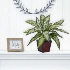 12 In. Artificial H Green Silver Queen Silk Plant (Set Of 2) 7 12 In. Artificial H Green Silver Queen Silk Plant (Set Of 2) -Artificial nearly natural artificial tropical plants 6694 s2 31 1000